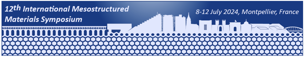 Conference “12th International Mesostructured Materials Symposium”