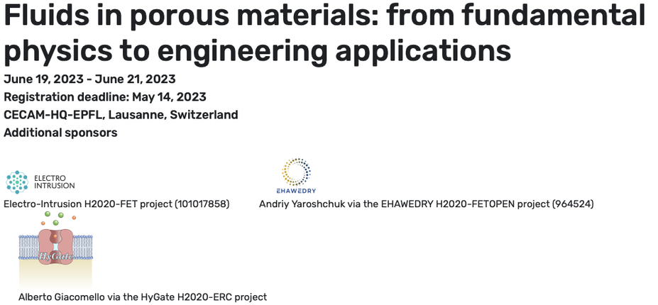 Workshop“CECAM-Fluids in porous materials: from fundamental physics to engineering applications”